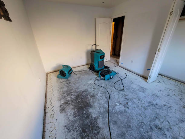 Best Local water damage restoration  in Mayo, SC
