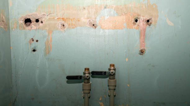 Best Water damage restoration cost  in Mayo, SC