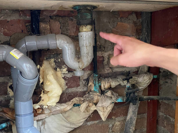 Best Fire Damage Restoration  in Mayo, SC